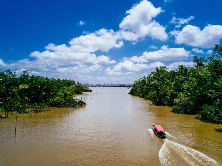 wide-angle-shot-boat-riding-river-passing-through-trees
